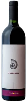 2018 Carmenere Veneto IGP