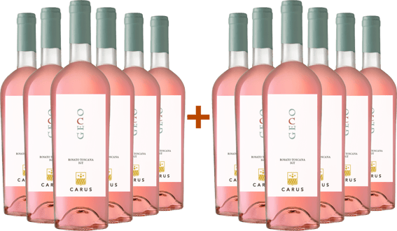 DE 6+6 Geco BIO