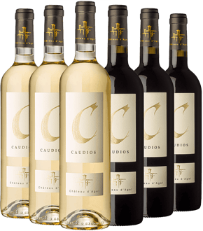 Caudios Kennenlernen-Paket