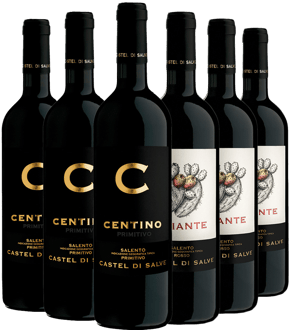 Castel di Salve Box Degustazione Salento