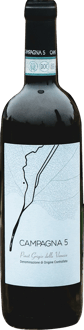 2021 Pinot Grigio Veneto IGP