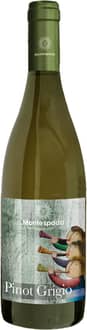 2024 Pinot Grigio Garda DOC BIO