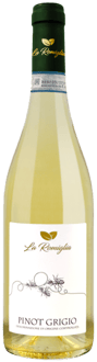 2023 Pinot grigio Venezia DOC