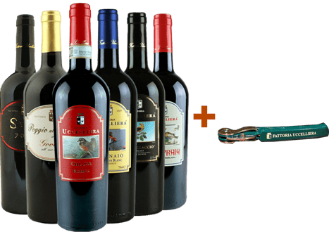 Fattoria Uccelliera Box Degustazione Rossi