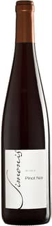 2023 Pinot Noir Alsace AOP BIO