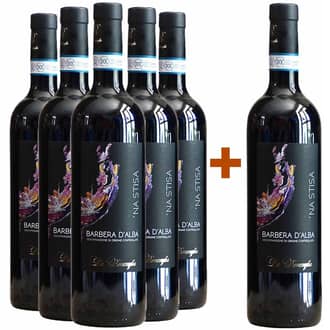 5+1 "Na'stissa" Barbera d'Alba DOC