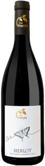 2021 Merlot Veneto IGP