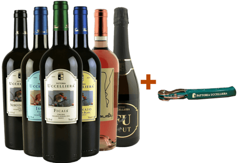Fattoria Uccelliera Box Degustazione Bianchi