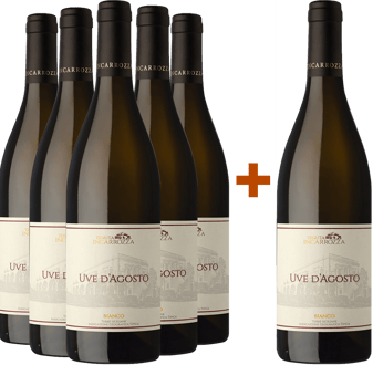 5+1 Uve D'agosto Bianco Terre Siciliane IGP
