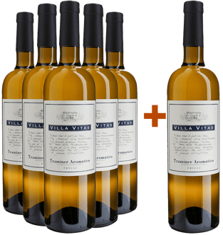 5+1 Traminer Aromatico Friuli DOC