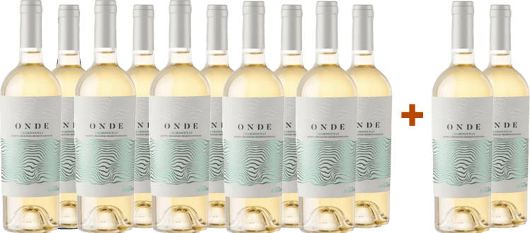 10+2 Chardonnay Bianco del Salento IGP