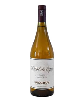 2022 Picol de Legno Garganega Garda DOC