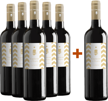 5+1 Capriccio di Falanghina Campania IGP