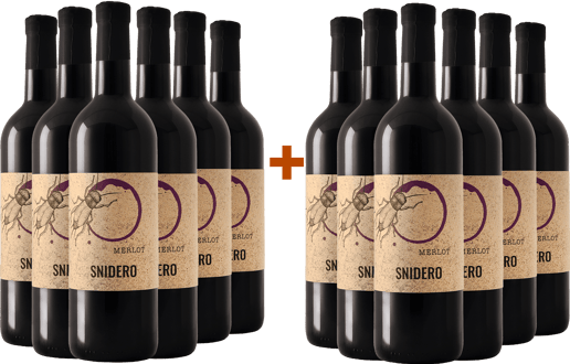 6+6 Merlot Friuli Colli Orientali DOC BIO