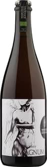 2022 Baby Magnum Lambrusco di Sorbara DOC BIO