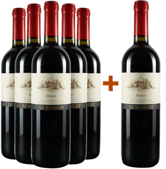 5+1 Merlot Le Marsure Friuli DOC