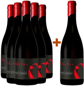 5+1 Paket 2020 Cuvée "Villa Bys" Bio BIO