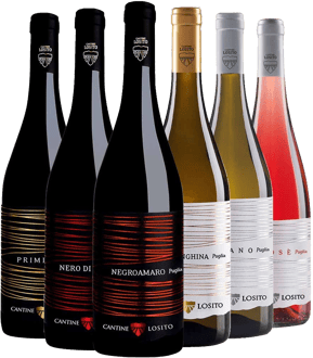 Cantine Losito Box Degustazione BIO