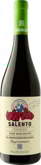 2021 Terreno Negroamaro Salento IGP BIO