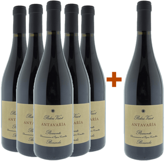 5+1 Bonarda Antavařìa Piemonte DOC