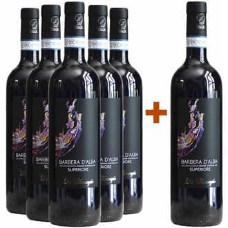 5+1 Barbera d'Alba Superiore DOC