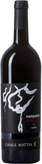 2023 RRampazzu Shiraz Lazio IGP