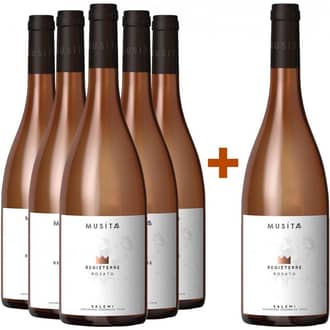 5+1 Regieterre Rosato Salemi IGP