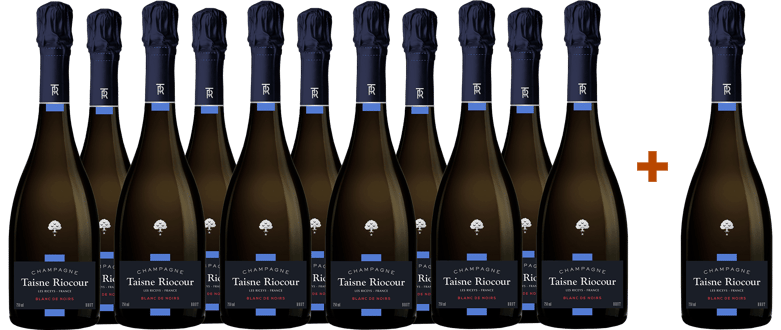 11+1 Paket Blanc de Noirs Champagne AOP