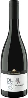 2022 Pinot Grigio Vigneti delle Dolomiti IGP