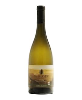 2021 Vino del Passo BIO