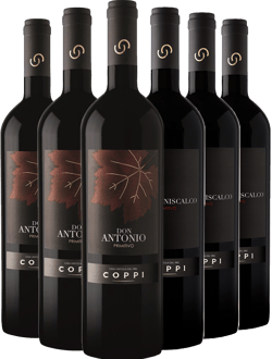 Cantina Coppi Box Degustazione Primitivo