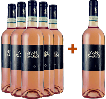 5+1 Bardolino Chiaretto DOC