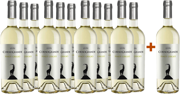 11+1 Corno Grande Pinot Grigio Colline Pescaresi IGP 