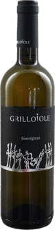 2023 Sauvignon Friuli Colli Orientali DOC