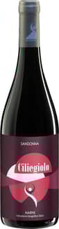2023 Ciliegiolo Narni IGP