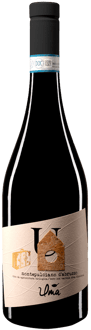 2020 Montepulciano DOC BIO