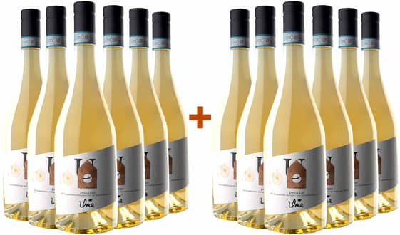 6+6 Pecorino Abruzzo DOC BIO