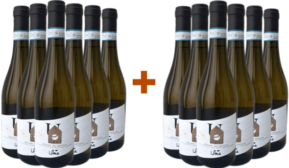 6+6 Pecorino Abruzzo DOC BIO