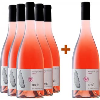 5+1 Rosé Vigneti delle Dolomiti IGP