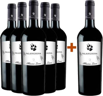 5+1 Falanghina Puglia IGP