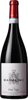2019 Pinot Nero Langhe DOC