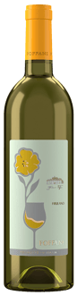 2023 Friulano Friuli Aquileia DOC