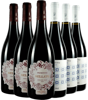 Tenuta Viglione Box Primitivo BIO