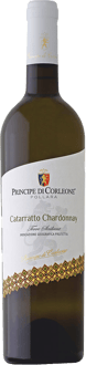 2024 Catarratto Chardonnay