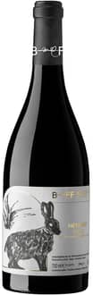2023 Sauvignon Friuli DOC