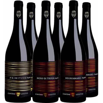 Cantine Losito Box Degustazione Rossi BIO