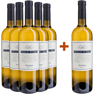 5+1 Friulano Friuli DOC