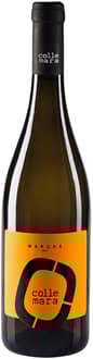 2023 Bianco Marche IGP