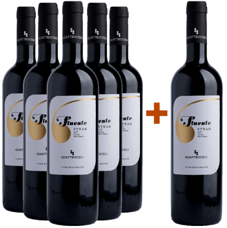 5+1 Fluente Syrah Terre Siciliane IGP BIO