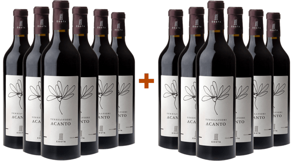 6+6 Terredifiori Acanto Toscana IGP Tenute Costa